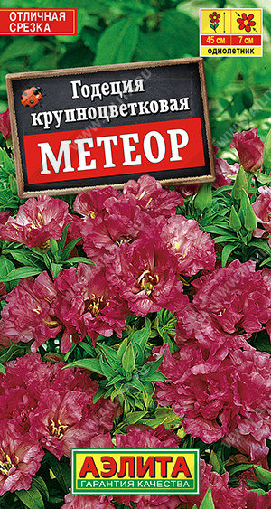 Годеция Метеор