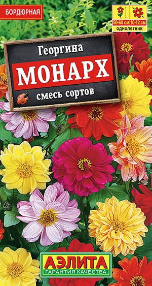 Георгина Монарх, смесь сортов_ЦП
