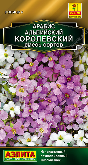 Арабис Королевский