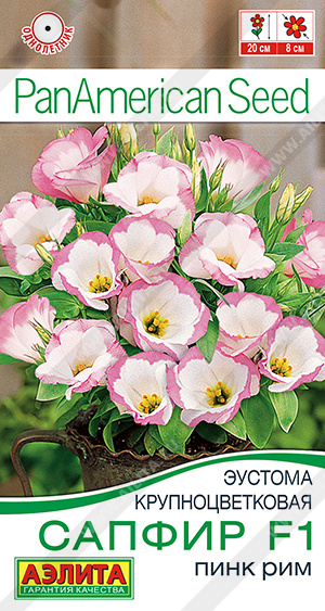 Эустома Сапфир F1 пинк рим