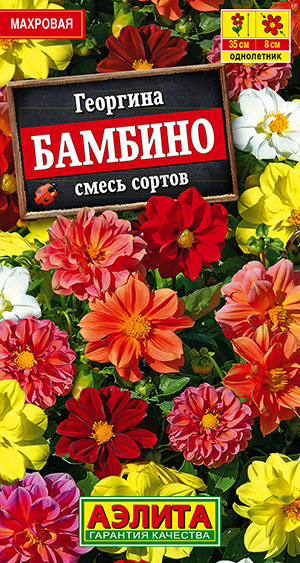 Георгина махровая Бамбино, смесь сортов_ЦП