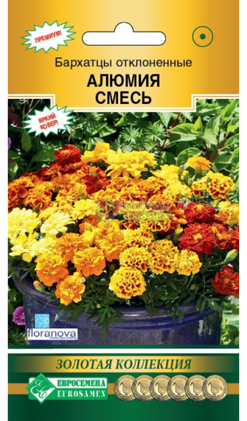 Бархатцы Алюмия смесь