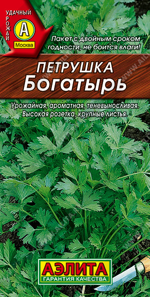 Петрушка листовая Богатырь