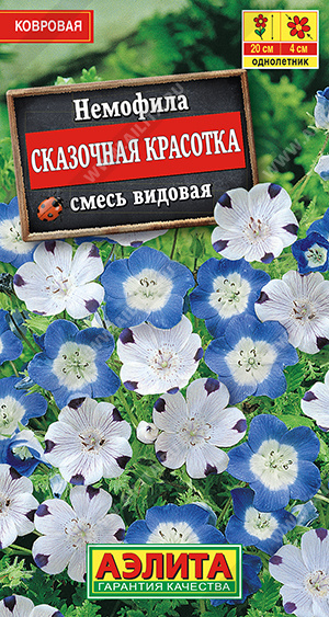 Немофила Сказочная Красотка