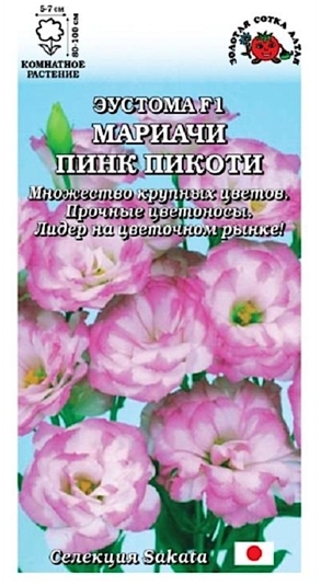 Мариачи пинк пикоти