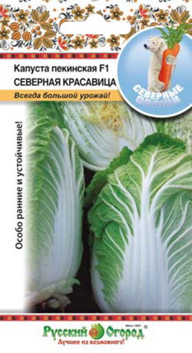 Красавица