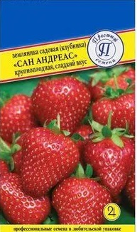 Андреас