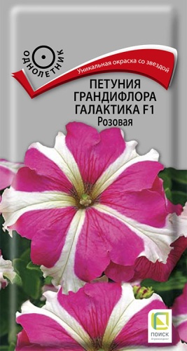 petunia_grandiflora_galaktika_f1_rozovaya
