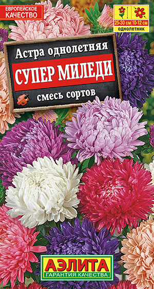 Астра Супер Миледи, смесь сортов_ЦП