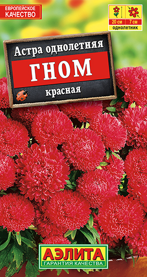 Астра Гном красная_ЦП
