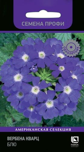 verbena_kvarts_blue
