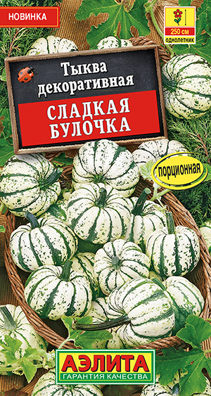 Тыква декоративная Сладкая булочка_ЦП