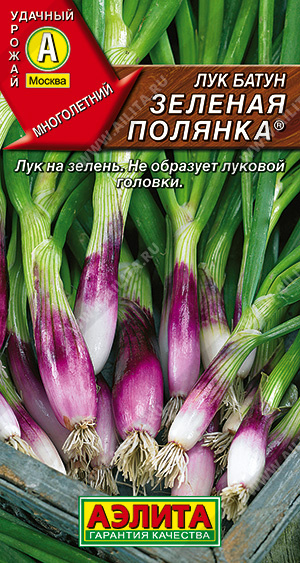 Лук Зеленая полянка