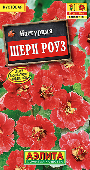 Настурция Шери Роуз_ЦП