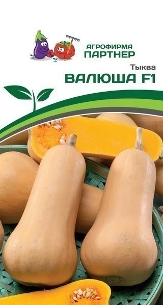 Тыква Валюша