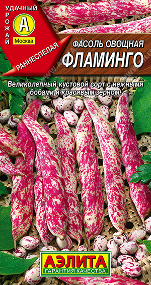 Фасоль Фламинго
