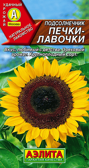 Подсолнечник Печки-лавочки_ЦП