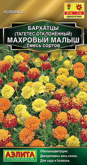 Бархатцы Махровый малыш