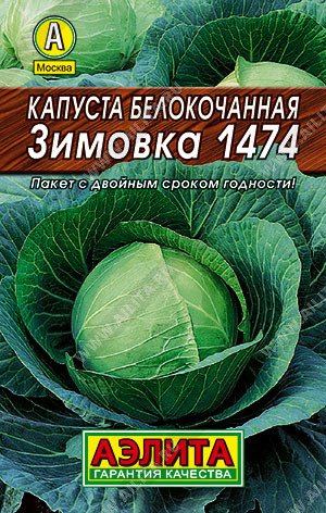 Капуста Зимовка лидер