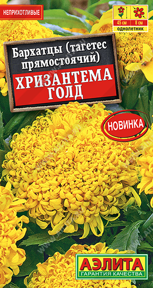 Бархатцы Хризантема голд