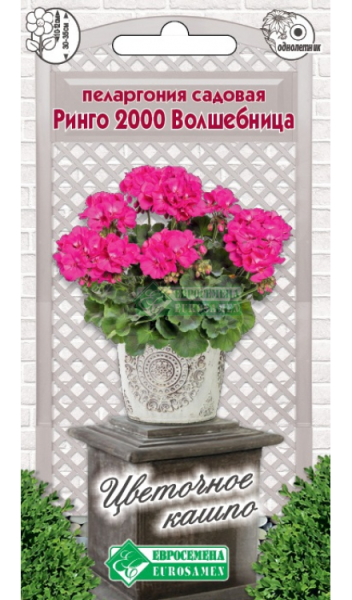 Пеларгония Ринго 2000 Волшебница садовая