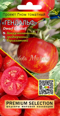 Томат Гном Гендальф