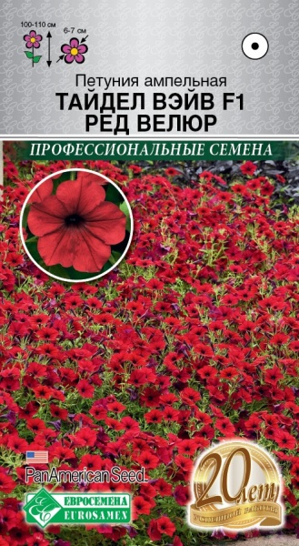 Петуния ТАЙДЕЛ ВЭЙВ РЕД ВЕЛЮР