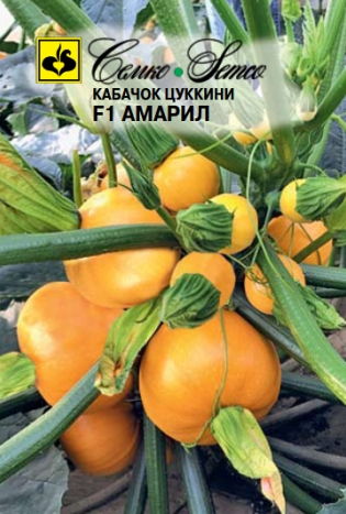 kabachok_cukkini_amaril_1