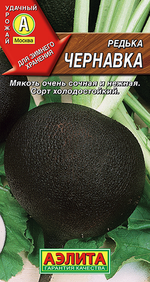 Редька Чернавка_ЦП