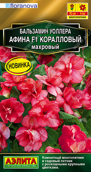 Бальзамин Афина F1 коралловый махровый