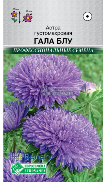 Астра Гала Блу