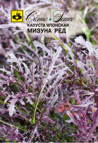 kapusta_yaponskaya_mizuna_red