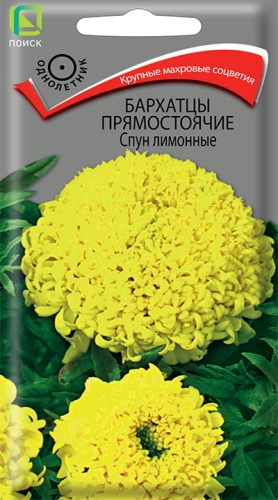 barhatsy_pryamost_spun_limonnie