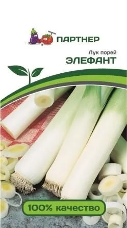 Лук порей элефант