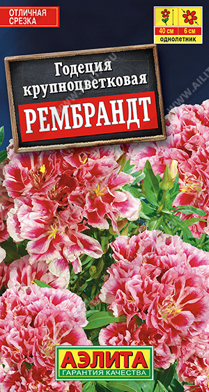 Годеция Рембрандт