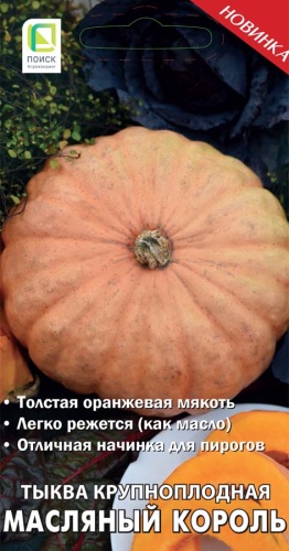 tykva_krupnoplod_maslyany_korol