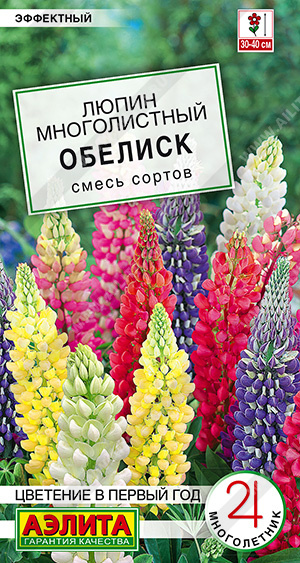 Люпин обелиск