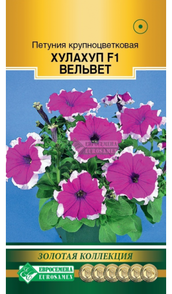 Петуния Хулахуп Вельвет