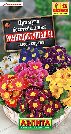 Примула Раннецветущая F1, смесь окрасок_ЦП