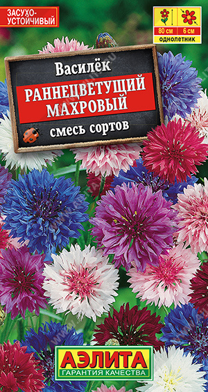 Василек раннецветущий