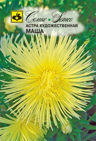 astra_masha