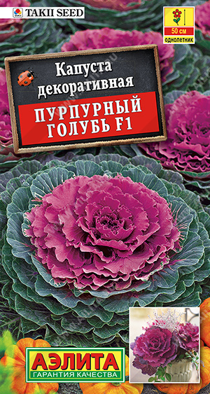 Капуста дек Пурпурный голубь