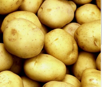 тулеевский