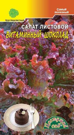 Салат Витаминный шоколад