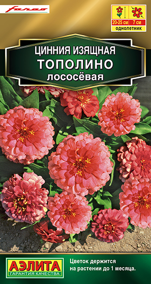 Цинния Тополино лососевая_ЦП