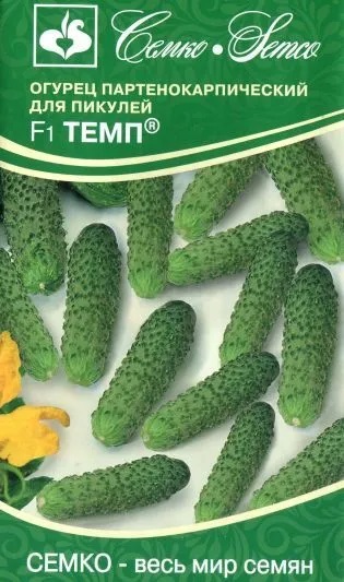 Огурец Темп