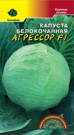 Капуста Агрессор