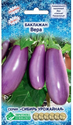Баклажан Вера
