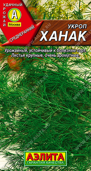 Укроп Ханак