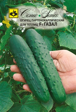 ogurec_gazal